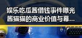娱乐吃瓜酱借钱事件曝光酱猫猫的商业价值与幕后故事