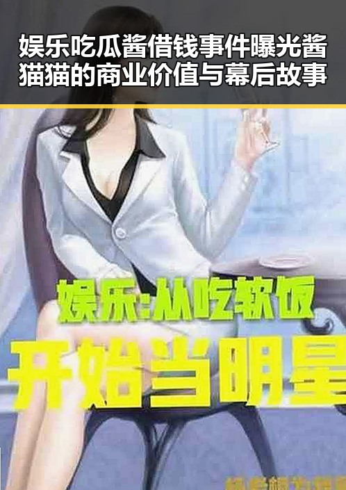 娱乐吃瓜酱借钱事件曝光酱猫猫的商业价值与幕后故事