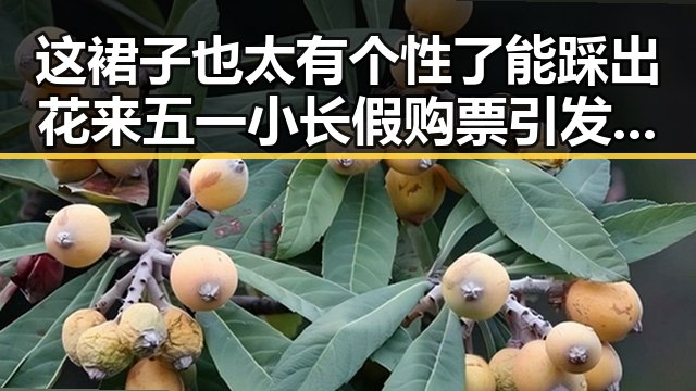 这裙子也太有个性了能踩出花来五一小长假购票引发明星直播真面目曝光